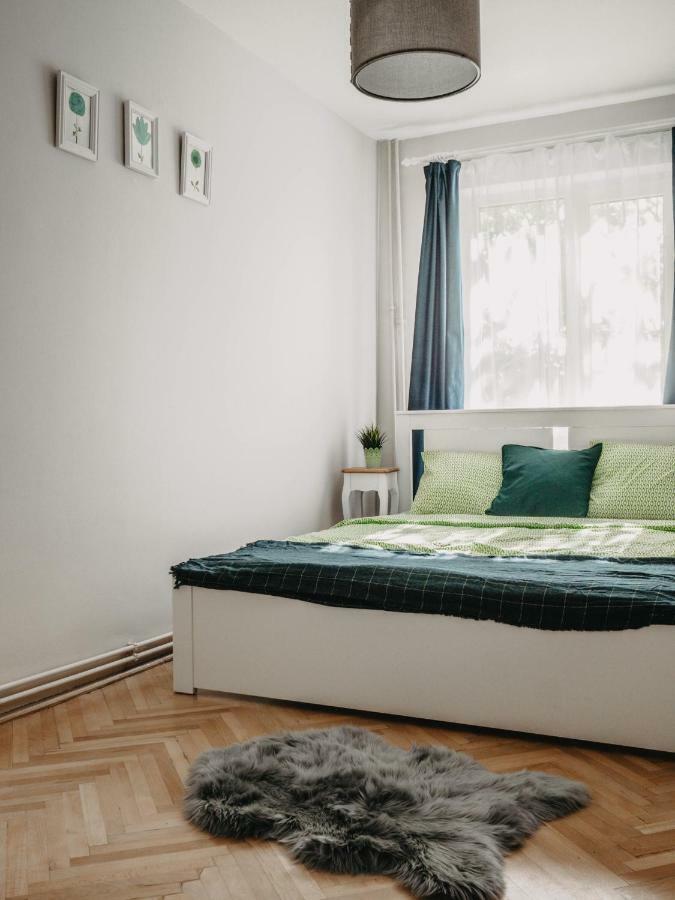 Business And Travel Central Apartment Timișoara Zewnętrze zdjęcie