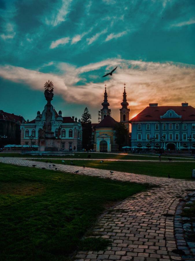 Business And Travel Central Apartment Timișoara Zewnętrze zdjęcie